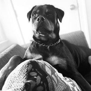 Meet your Posher, Jason